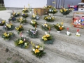 DSCN2659
