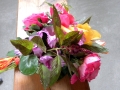 DSCN4680