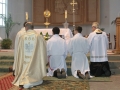 53