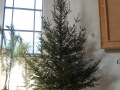 DSCN8989a