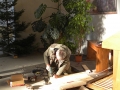 DSCN8992a